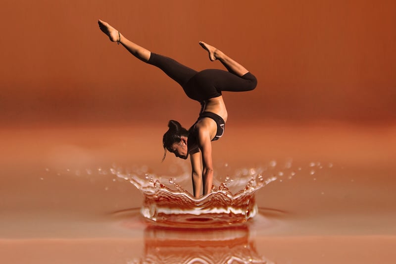 Diversity in Dance